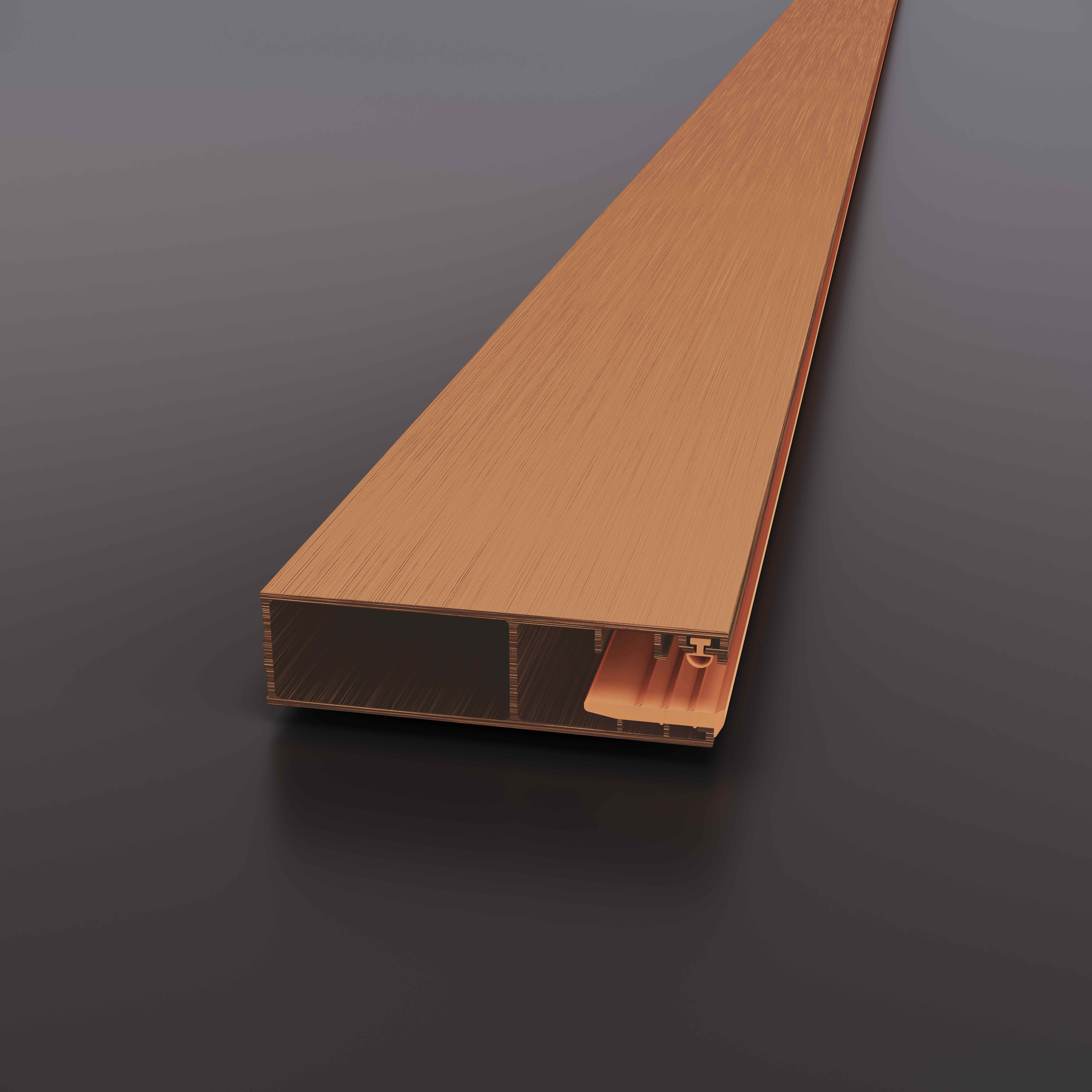 Verbredingsprofiel Tira XL 200 x 7 cm BC